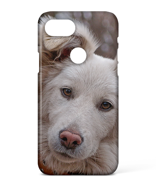 Google Pixel 3 Photo Case - Snap On