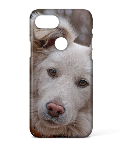 Google Pixel 3 Photo Case | Highly Rated | Free Delivery