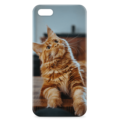 iPhone 5 Photo Case - Snap On for iPhone 5