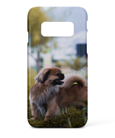 Samsung Galaxy Note 8 Photo Case | Add Photos & Text | DMC