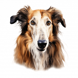 Dogs