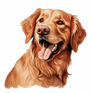 Dogs