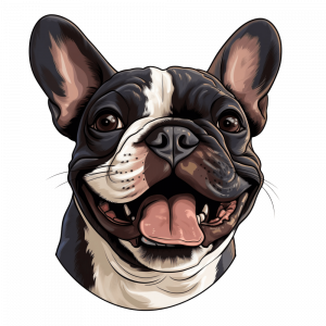 Dogs