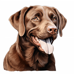 Dogs