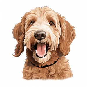 Dogs