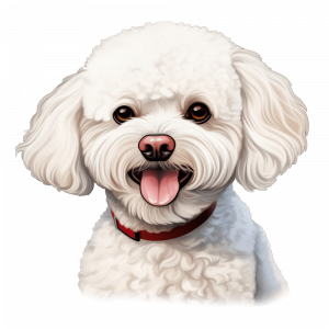Dogs