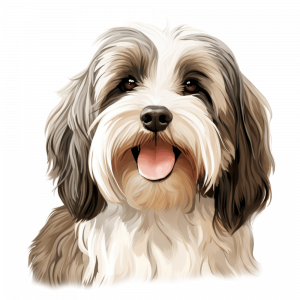Dogs
