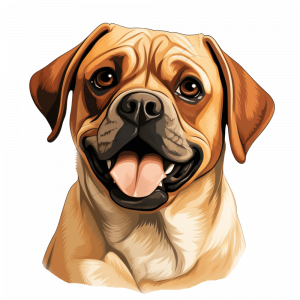 Dogs