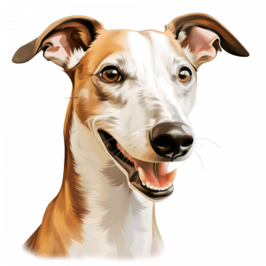 Dogs