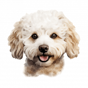 Dogs