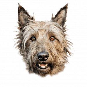 Dogs