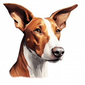 Dogs