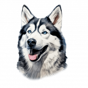 Dogs