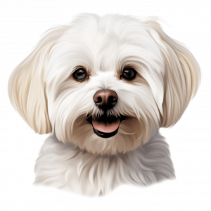 Dogs