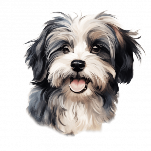 Dogs