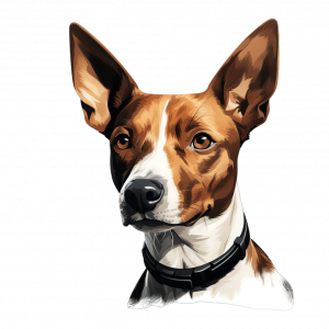 Dogs