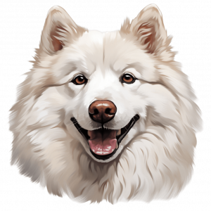 Dogs