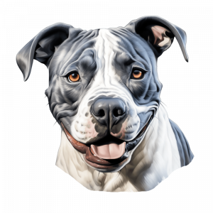 Dogs