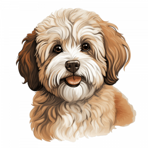 Dogs