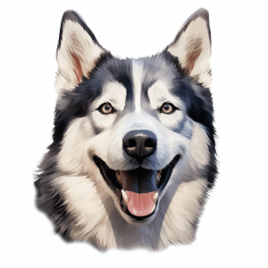 Dogs